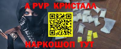 скорость Кингисепп