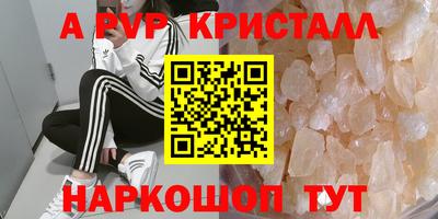 скорость Кингисепп