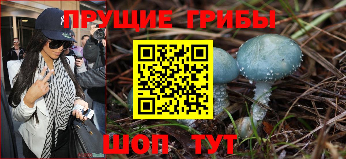 Галлюциногенные грибы прущие грибы Алексеевка